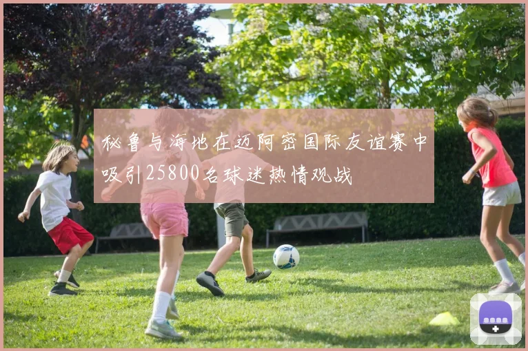 秘鲁与海地在迈阿密国际友谊赛中吸引25800名球迷热情观战